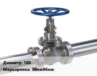 Задвижка нержавеющая 100 30нж96нж